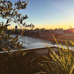 Image post by @hotelmadero on Instagram