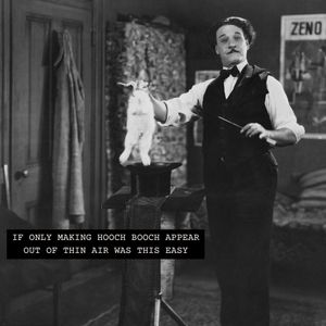 Image post by @drinkhoochbooch on Instagram