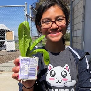 Image post by @kidsgardening on Instagram