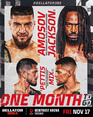 Image post by @bellatormma on Instagram