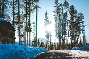 Image post by @nomadikrebelcreative on Instagram