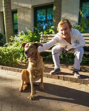 Image post by @collegeofcharleston on Instagram