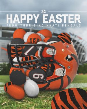 Image post by @bengals on Instagram