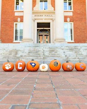 Image post by @clemsonuniversity on Instagram