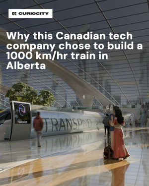 Image post by @curiocitycalgary on Instagram