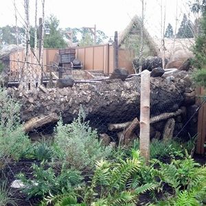 Image post by @thedisneyblog on Instagram