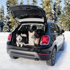 Image post by @fiatusa on Instagram