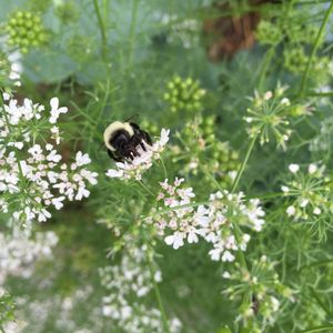 Image post by @kidsgardening on Instagram
