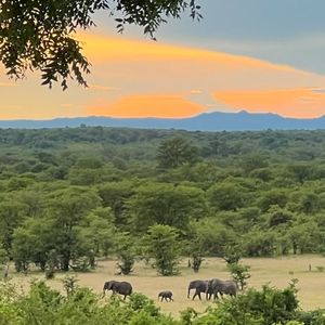 Image post by @chiawasafaris on Instagram