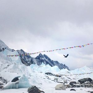 Image post by @discovery on Instagram