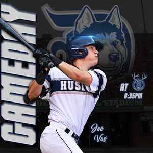 Image post by @duluthhuskies on Instagram