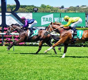 Image post by @australianturfclub on Instagram