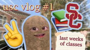Video post by @artisanpapaya on YouTube