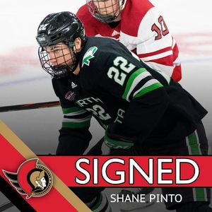 Image post by @sens_network on Instagram