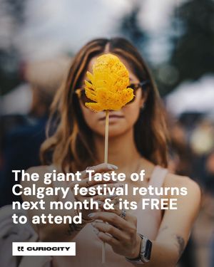 Image post by @curiocitycalgary on Instagram