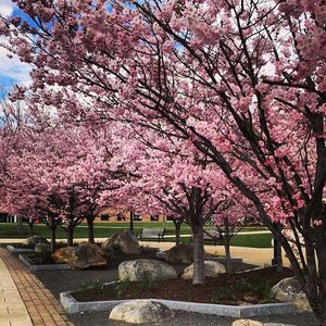 Image post by @fairfieldu on Instagram