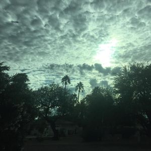 Image post by @arschmitty on Instagram