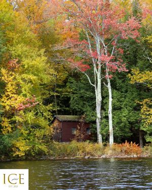 Image post by @iceglobalworldwide on Instagram