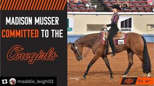 Image post by @osuequestrian on Instagram