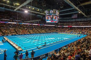 Image post by @gatorsswimdv on Instagram