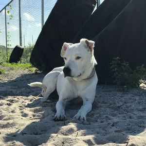 Image post by @manningsumner on Instagram