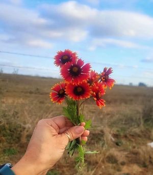 Image post by @kens5 on Instagram