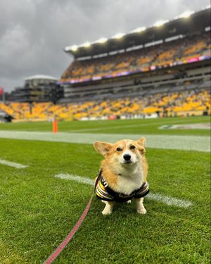 Image post by @steelers_nation_unite on Instagram