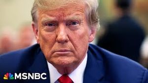 Video post by @msnbc on YouTube