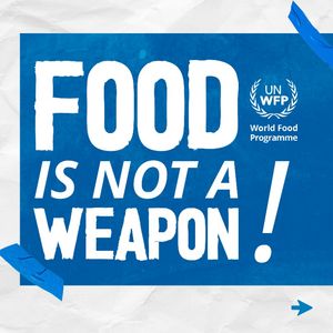 Image post by @unitednations on Instagram