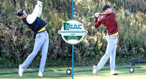 Image post by @CobberSID on Twitter