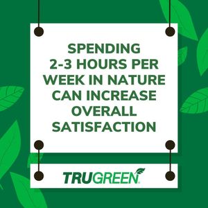 Image post by @trugreen_lawn on Instagram
