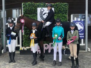 Image post by @NZHorseAmbulanceTrust on Facebook