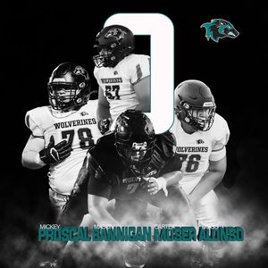 Image post by @aliso_football on Instagram