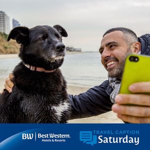 Image post by @bestwestern on Instagram