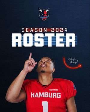 Image post by @hamburgseadevils on Instagram