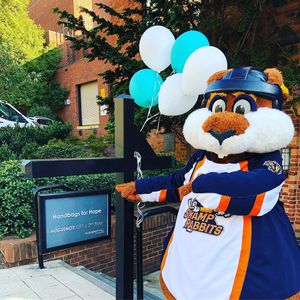 Image post by @swamprabbits on Instagram