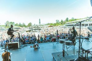 Image post by @magicgiant on Instagram