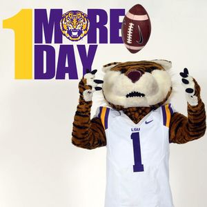 Image post by @lsumiketiger on Instagram