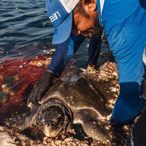Image post by @4ocean on Instagram