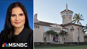 Video post by @msnbc on YouTube