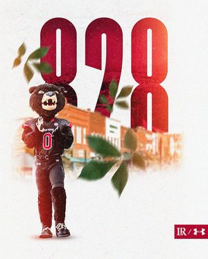 Image post by @bearssports on Instagram