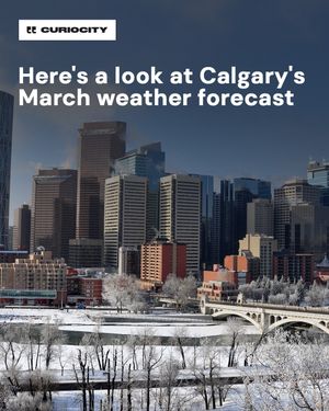 Image post by @curiocitycalgary on Instagram