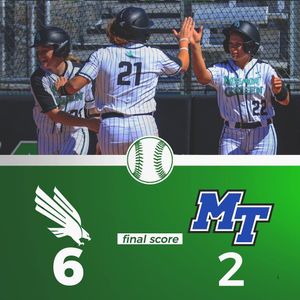 Image post by @meangreensb on Instagram