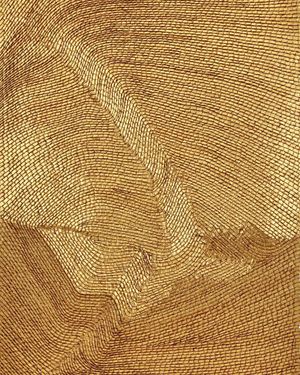 Image post by @phillipsauction on Instagram
