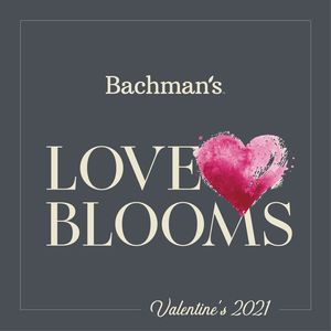 Image post by @shopbachmans on Instagram
