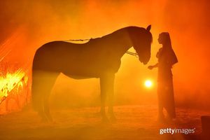Image post by @gettyimages on Instagram
