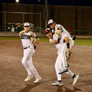 Image post by @duluthhuskies on Instagram