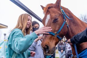 Image post by @kernhighnetwork on Instagram