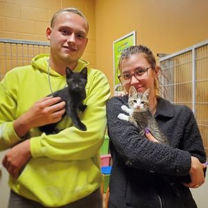 Image post by @spokhumanesoc on Instagram