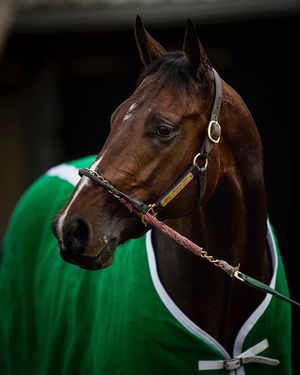 Image post by @spendthriftfarm on Instagram